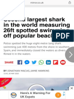 Second Largest Shark in The World Measuring 26ft Spotted Swimming Off Popular Beach