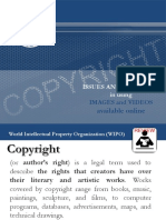 Copyright Issues and Concerns 