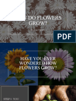 Teacher Made Book On Growing Flowers