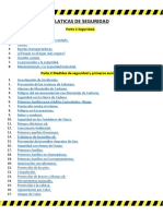 Platicas de Seguridad PDF