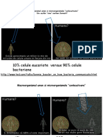 10% Celule Eucariote Versus 90% Celule Bacteriene