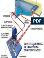 Corte Esquematico de Una Piscina Con Purificador