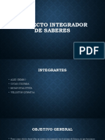 Proyecto Integrador de Saberes