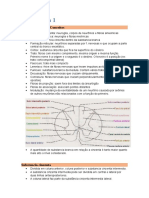 Resumo Sobre Medula