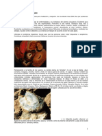Piedra Usos Y Des.pdf
