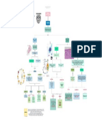 Mapa Protozoos PDF