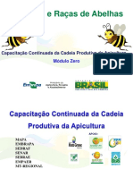 espcieseraasdeabelhas-121101082219-phpapp01.pdf