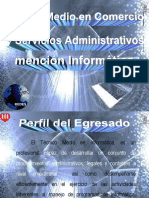 Perfil Informática