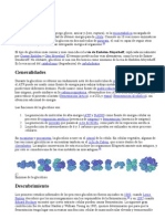 Glucólisis: Oxidación Glucosa