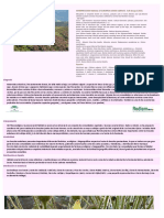 4030_0.pdf