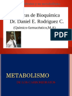 6Ta CLASE  SEGUNDO P. BIOQUIMICA METABOLISM DE CARBOHIDRATOS  RD.pdf