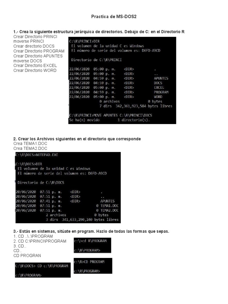 Práctica de MS-DOS2 en Linux | PDF | Archivo de computadora | Datos de ...