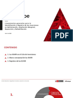 lineamientos_ioarr (1).pdf