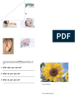 Senses Book PDF