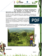 Plan de Mejoramiento Agroambiental (Juan David Garcia Mendoza)