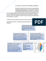 NEUROPSICOLOGÍA Tarea 2