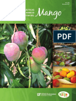 Guia Madurez y Maduracion de MANGO