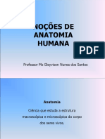 Noções de Anatomia