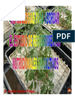 Requerimientos Nutricionales de Cultivos PDF