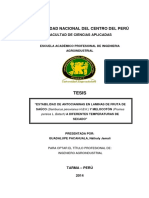 Gualupe Pacahuala PDF