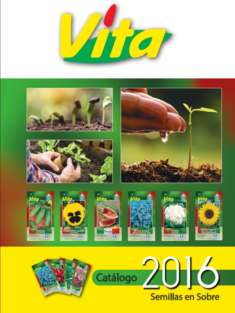 Vita | PDF | Plantas | Botánica