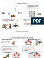 El Ciclo Del Capital Dinero