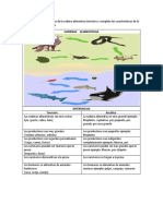 Cuadro Comparativo. Cadena Alimenticia Camila Cevallos