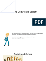 Defining Culture and Society