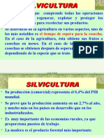 SILVICULTURA1