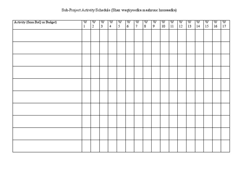 Activity Schedule | PDF