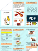 Leaflet Kolesterol (1