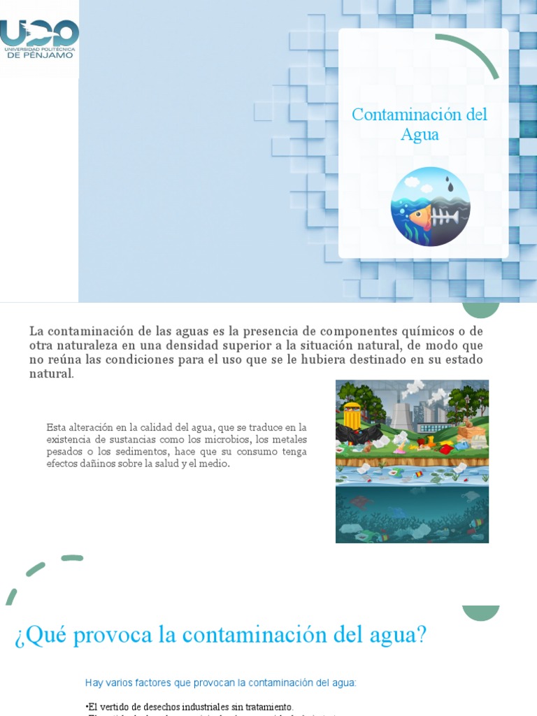 Causas y consecuencias de la contaminación del agua | PDF