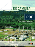 El Gas de Camisea. Su Historia Su Realidad y Las Perspectivas para El Sur Andino PDF