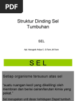 Dinding Sel Tumbuhan