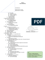 TEMA 22. Pared Abdomdocx