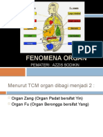 Fenomena Organ Dalam TCM