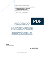 Recorrido Practico Por El Proceso Penal PDF