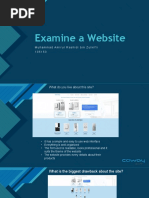 Examine a Website