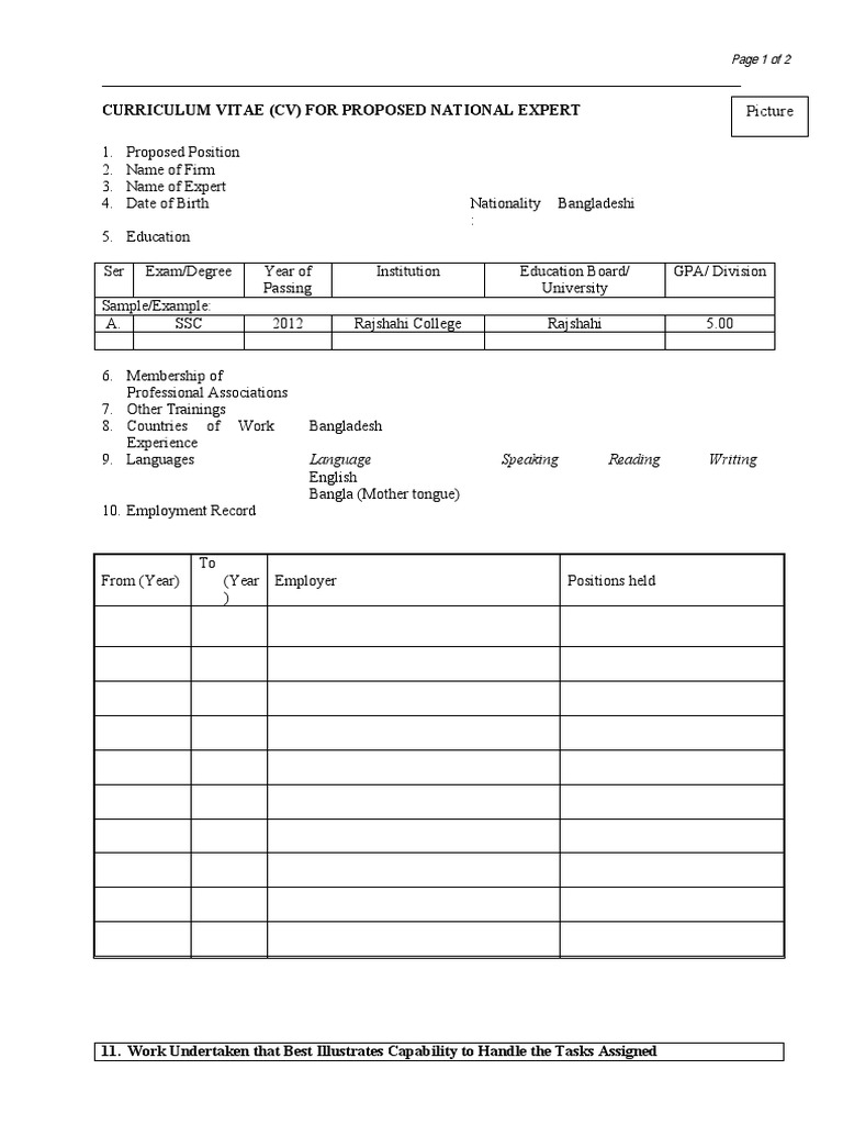 National Expert CV Template | PDF