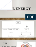 Cell Energy