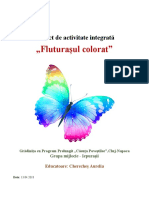 proiect_fluturasul_colorat.docx
