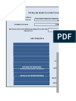 Matriz Formulacion y Evaluacion de Proyectos