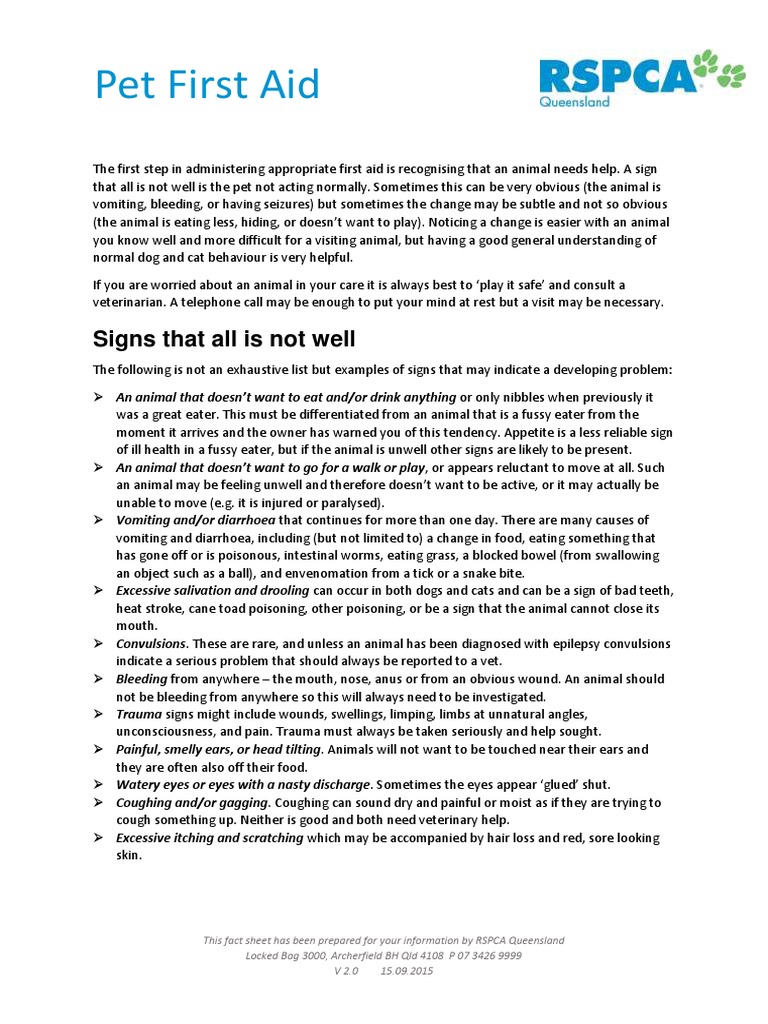 RSPCA QLD Pet First Aid PDF PDF Leash Dogs