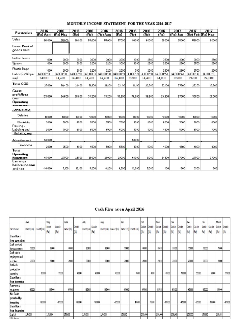 2016-2017 Monthly Income Statement | PDF
