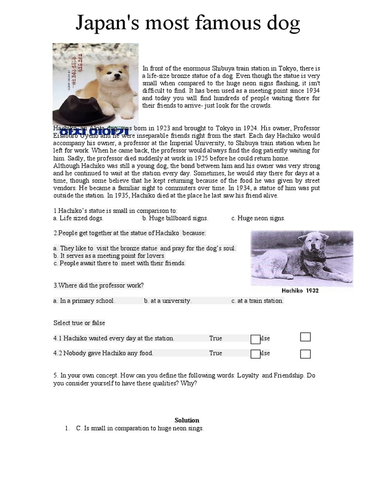 Japan's Most Famous Dog Solution PDF
