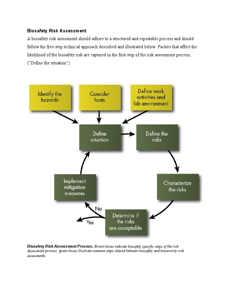 Biosafety Risk Assessment Guide | PDF