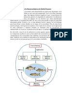 Uso de La Nanotecnología en Al Ámbito Pesquero