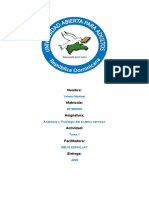 Anatomia y Fisiologia Del Sistema Nervioso