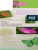 Tillandsia Dyeriana PDF