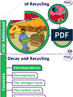 Decay and Recycling
